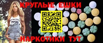 гидропоника Ставрополь