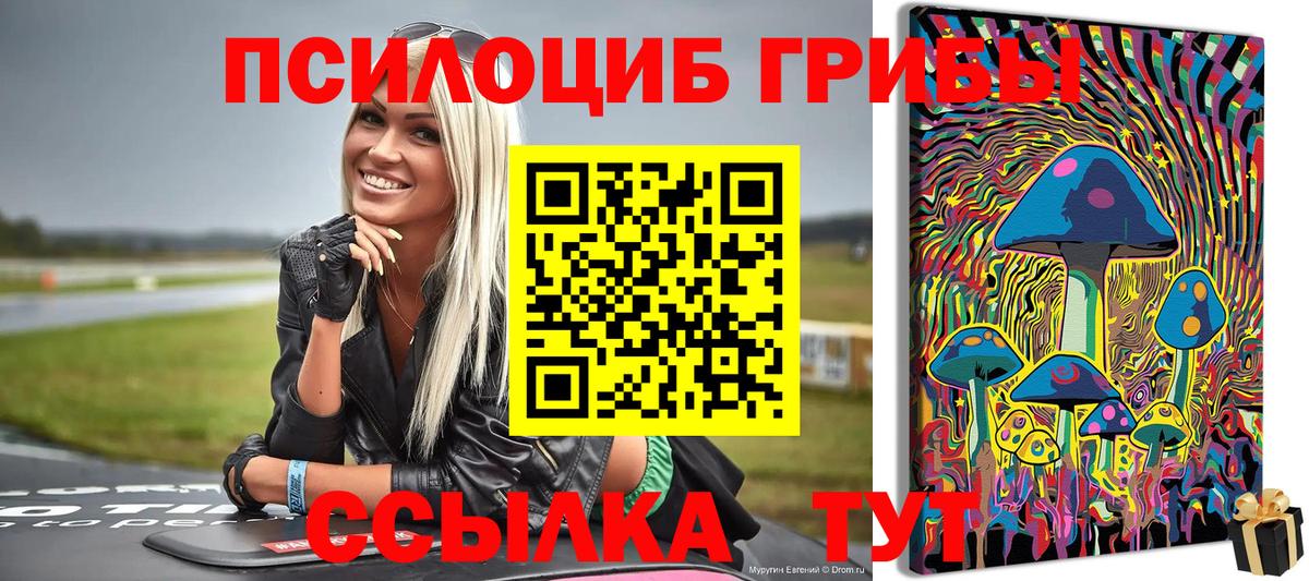 Псилоцибиновые грибы MAGIC MUSHROOMS  Вход с VPN  Пенза  Псилоцибиновые грибы GOLDEN TEACHER 